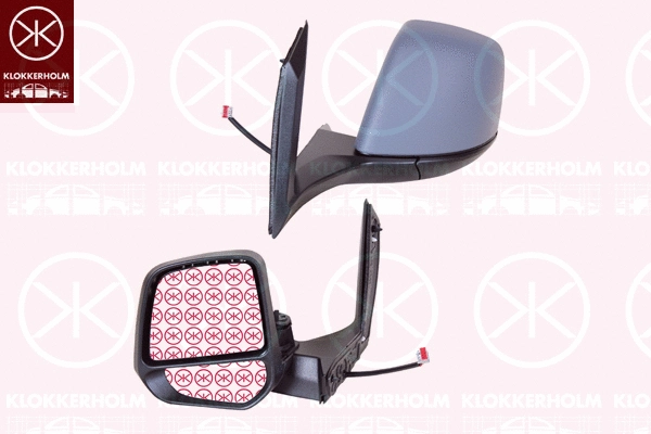 Exterior Mirror (25081041)