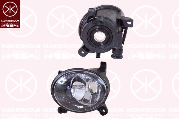 Front Fog Light (00310298)