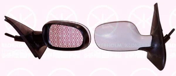 Exterior Mirror (60321028)