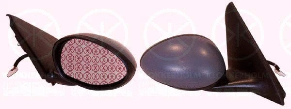 Exterior Mirror (01091042)