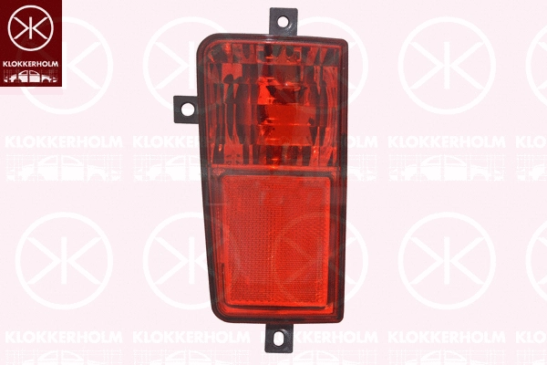 Rear Fog Light (20970787)