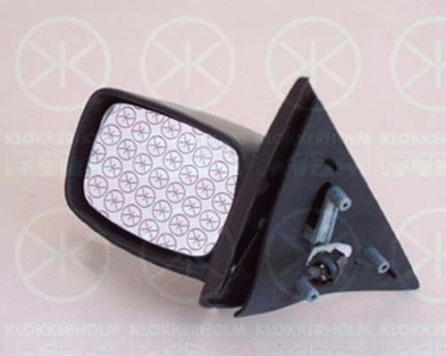 Exterior Mirror (25301024)