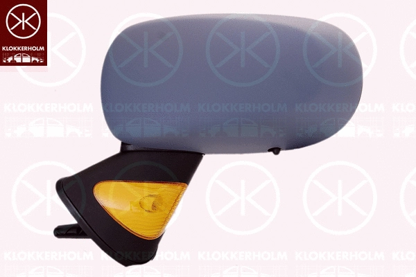 Exterior Mirror (60071041)