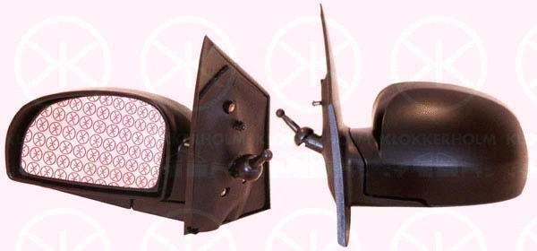 Exterior Mirror (31271021)