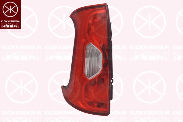 Tail Light Assembly (20090711)