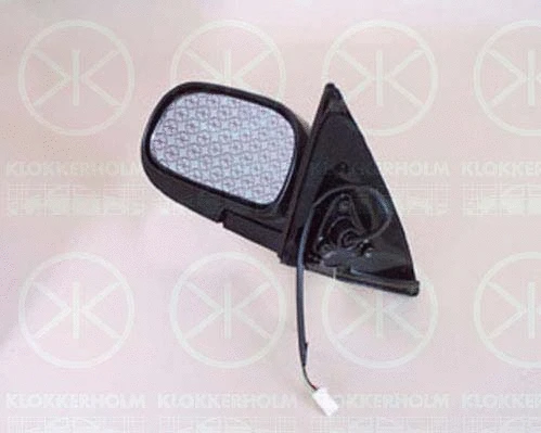 Exterior Mirror (81431032)