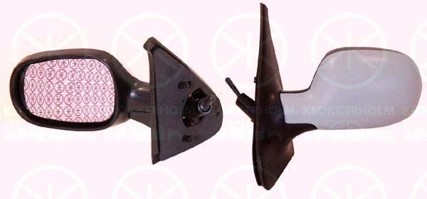 Exterior Mirror (60321027)