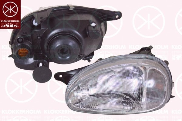 Headlight (50220147)