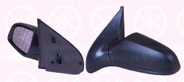 Exterior Mirror (50521031)