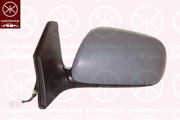 Exterior Mirror (81611041)