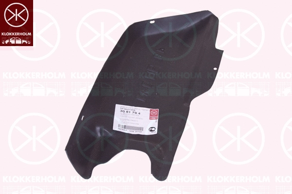 Engine Cover (3081794)