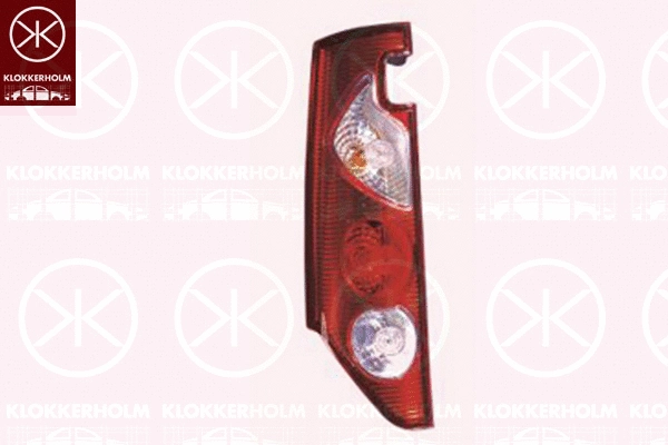 Tail Light Assembly (60110701A1)