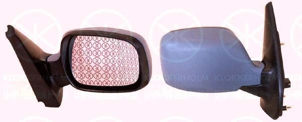 Exterior Mirror (60101044)