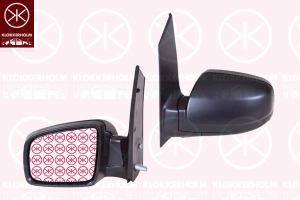 Exterior Mirror (35421013)