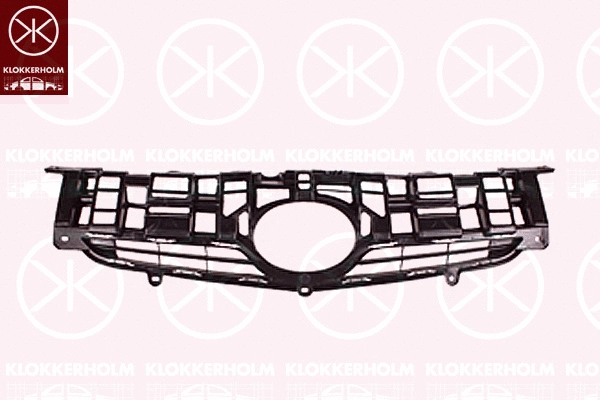 Radiator Grille (8169993)