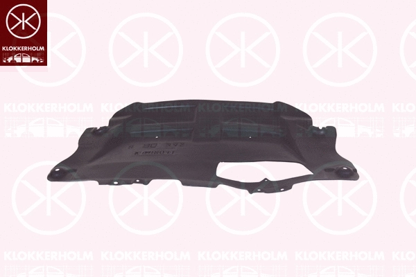 Engine Cover (6011797)