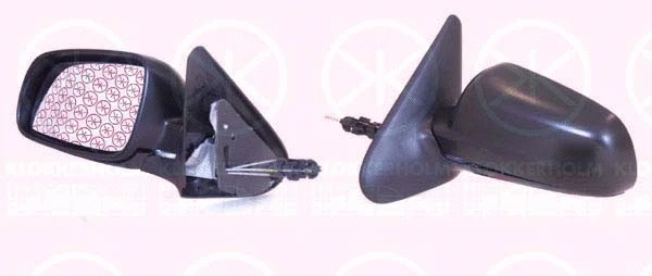 Exterior Mirror (66111021)