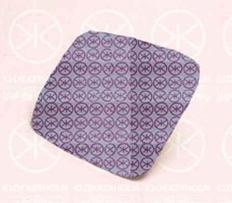 Mirror Glass, exterior mirror (95581073)