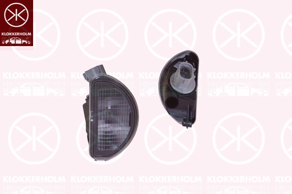 Licence Plate Light (81010850)