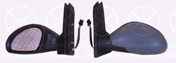 Exterior Mirror (66121045)