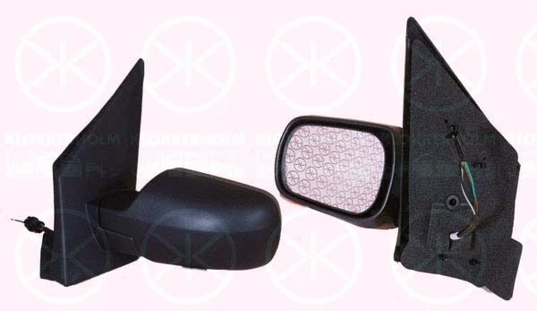 Exterior Mirror (25761042)