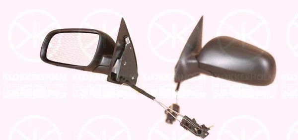 Exterior Mirror (75141021)