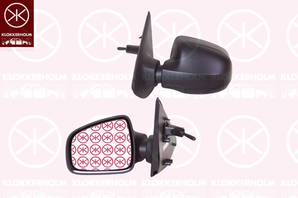 Exterior Mirror (13021022)