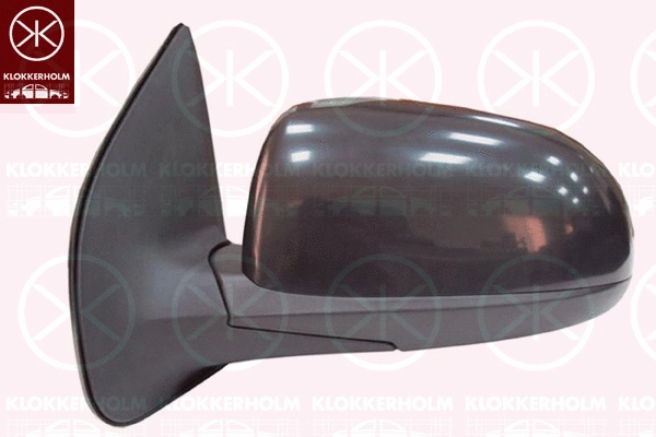 Exterior Mirror (31281042)