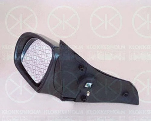 Exterior Mirror (50221022)
