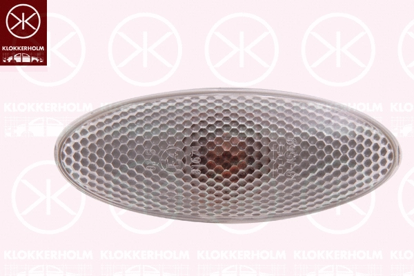 Direction Indicator (81550600)