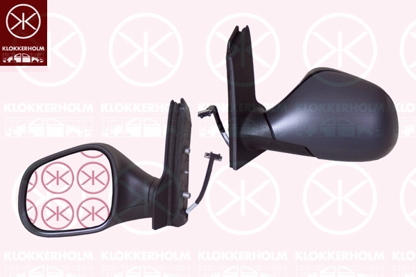 Exterior Mirror (66301046A1)