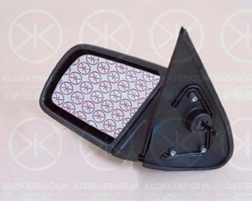 Exterior Mirror (50761022)