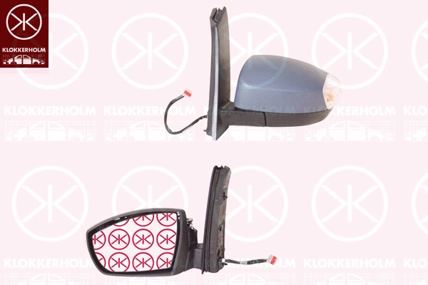 Exterior Mirror (25351044)