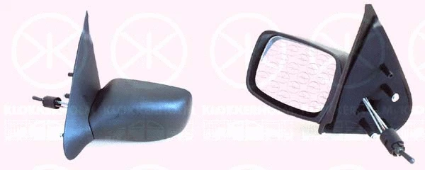 Exterior Mirror (25631021)