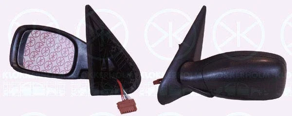 Exterior Mirror (55131041)