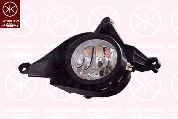 Front Fog Light (29570283A1)