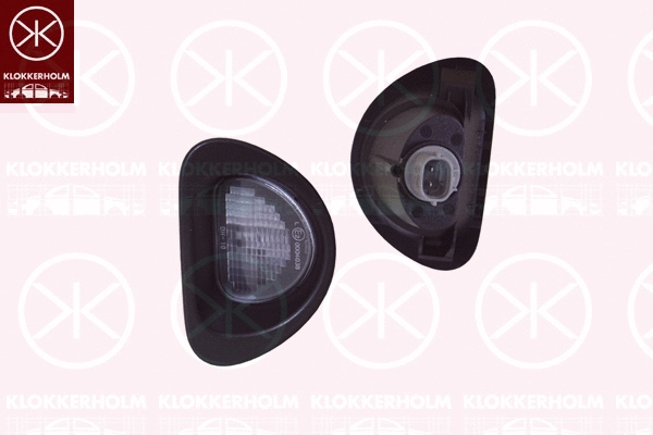 Licence Plate Light (55010850)