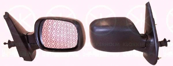 Exterior Mirror (60101023)
