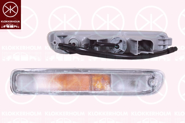 Direction Indicator (34720361)