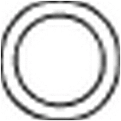 Gasket, exhaust pipe (256-518)