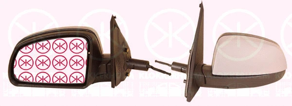 Exterior Mirror (50261024)