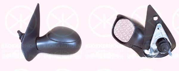 Exterior Mirror (55071021)