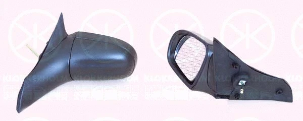 Exterior Mirror (50221021)