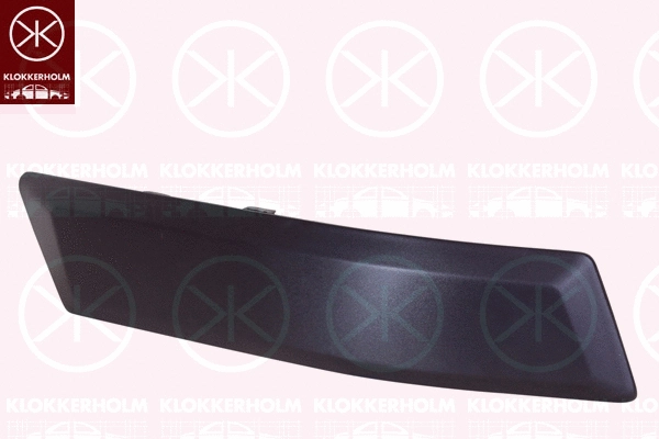 Trim/Protection Strip, bumper (2576974)