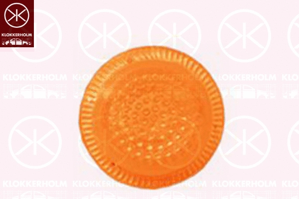 Direction Indicator (25070560)