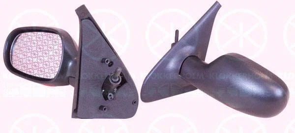 Exterior Mirror (60321023)