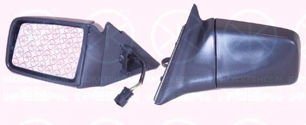 Exterior Mirror (50501042)