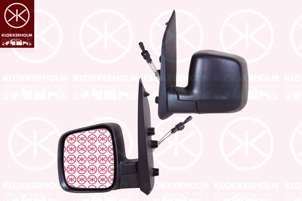 Exterior Mirror (55531021)