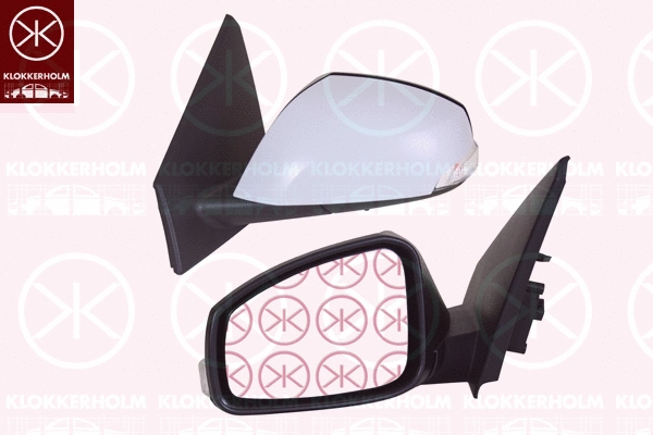 Exterior Mirror (60431043)