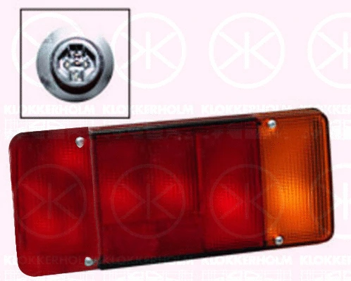 Tail Light Assembly (20330703)